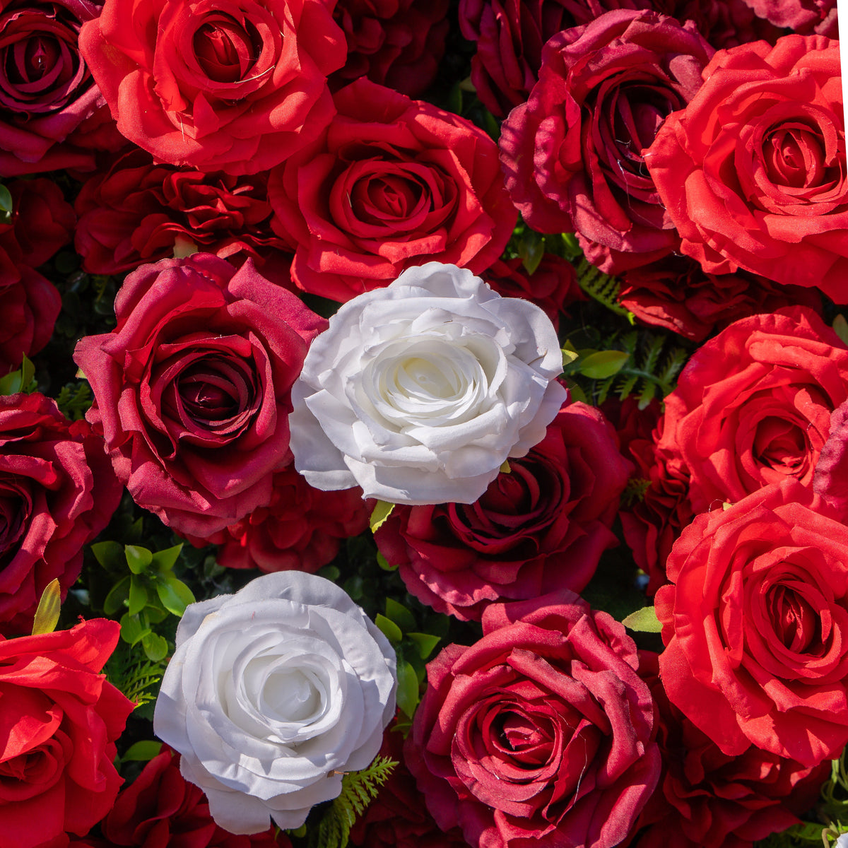 Meraki: 3D  Luxury Crimson Red & White Silk Floral Wall Roll-Up Fabric Backdrop for Grand Weddings & Valentine’s Events