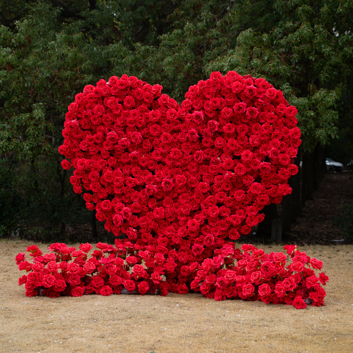 Passion: The Perfect Valentine’s Surprise Luxury 3D Red Rose Passion Heart Wall(6.2ft*6.9ft)
