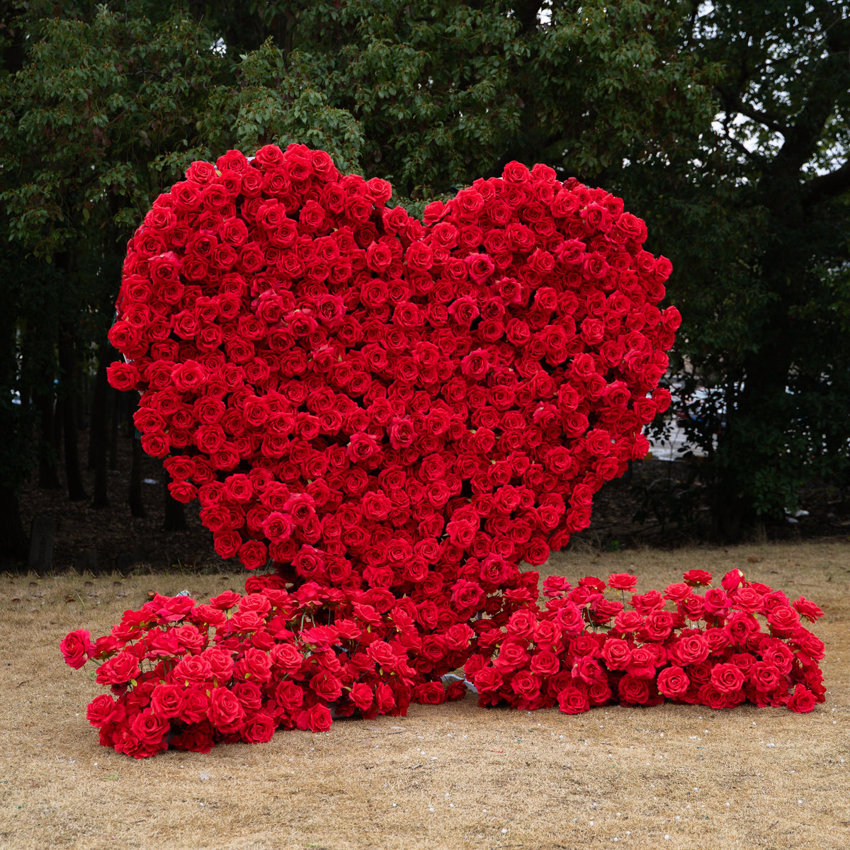 Passion: The Perfect Valentine’s Surprise Luxury 3D Red Rose Passion Heart Wall(6.2ft*6.9ft)