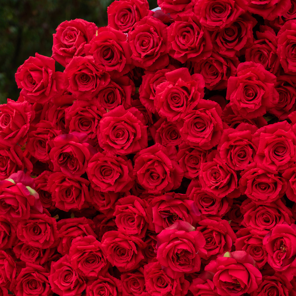 Passion: The Perfect Valentine’s Surprise Luxury 3D Red Rose Passion Heart Wall(6.2ft*6.9ft)