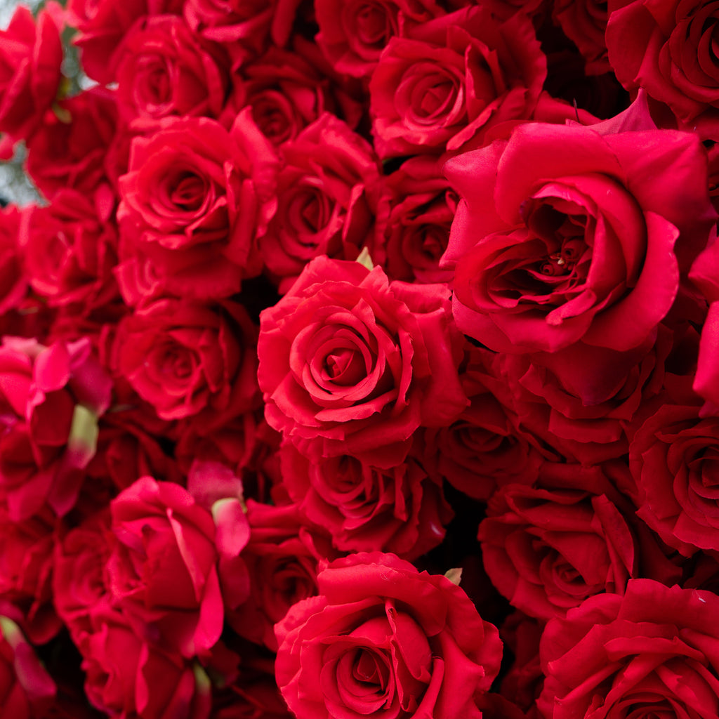 Passion: The Perfect Valentine’s Surprise Luxury 3D Red Rose Passion Heart Wall(6.2ft*6.9ft)