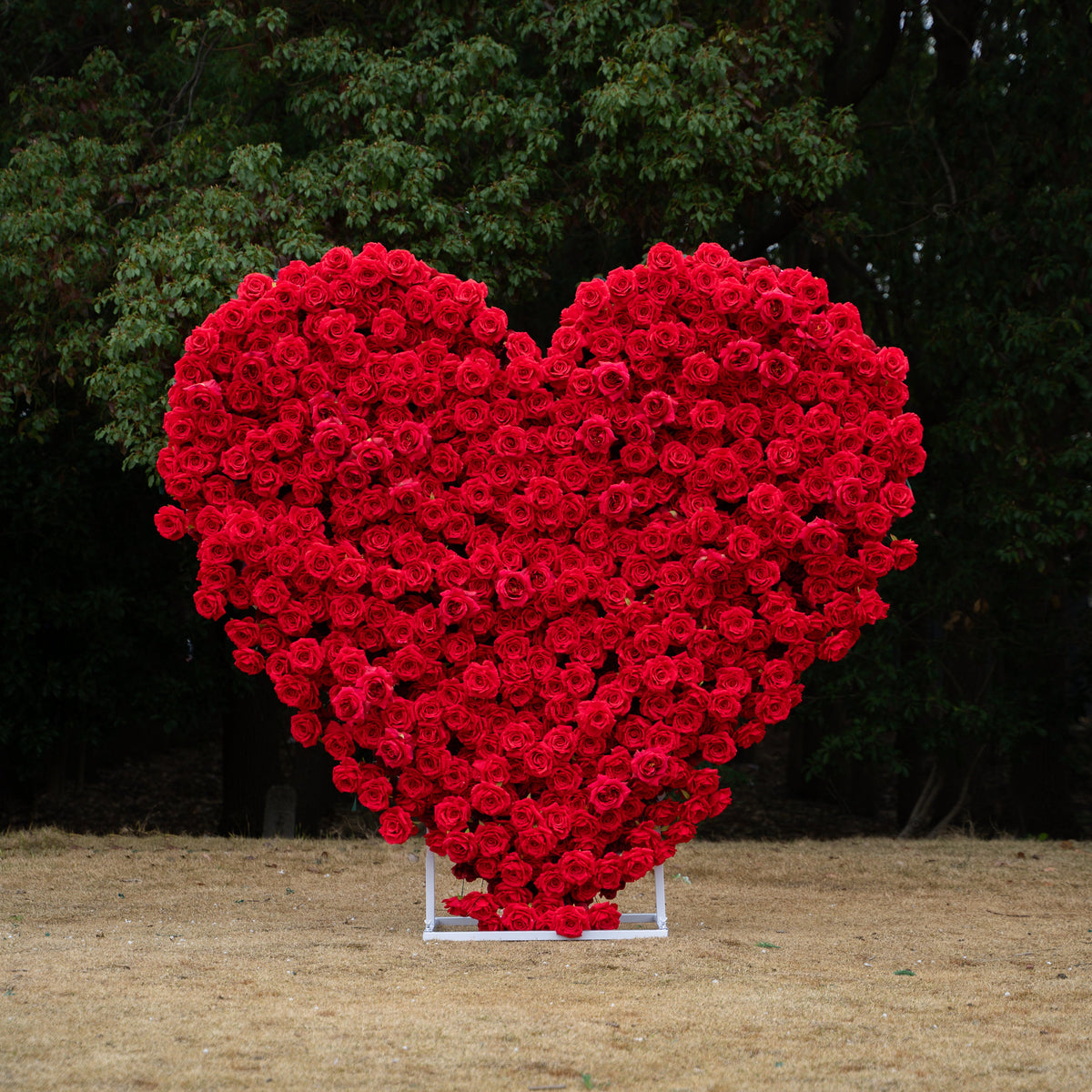 Passion: The Perfect Valentine’s Surprise Luxury 3D Red Rose Passion Heart Wall(6.2ft*6.9ft)