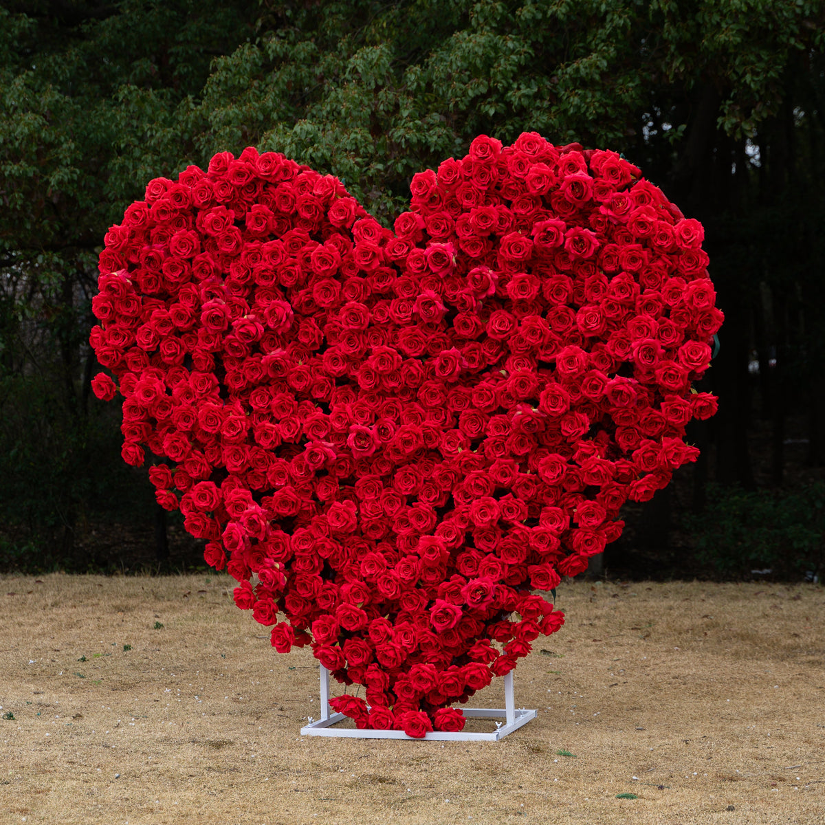 Passion: The Perfect Valentine’s Surprise Luxury 3D Red Rose Passion Heart Wall(6.2ft*6.9ft)