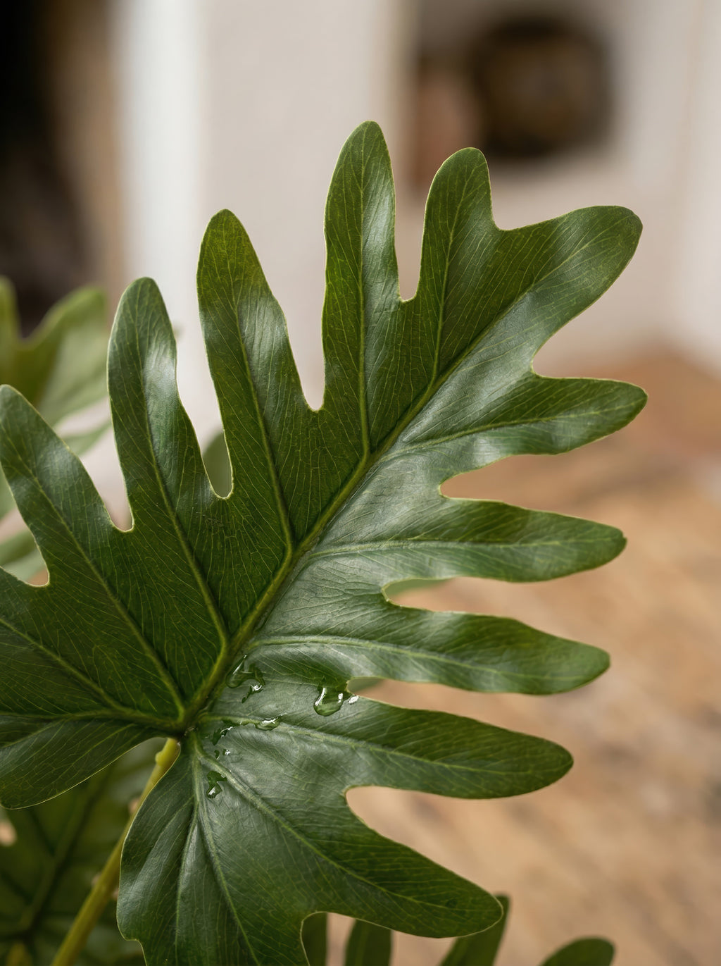 Highly Realistic 21.6" Faux Plant in Pot - Large Artificial Tropical Split Leaf Potted Plant for Home & Office Decor