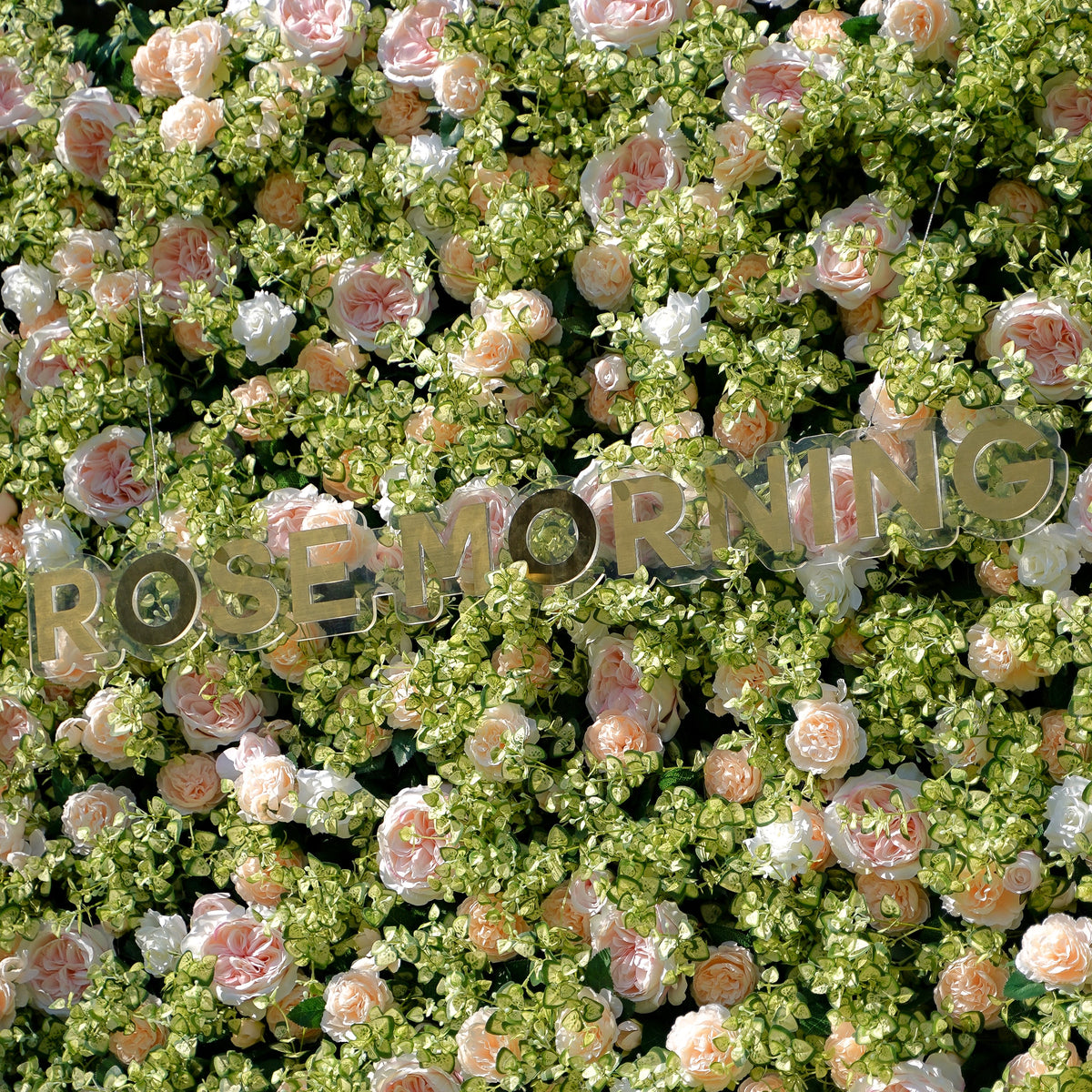 Scarlett：5D Fabric Artificial rolling up curtain flower wall