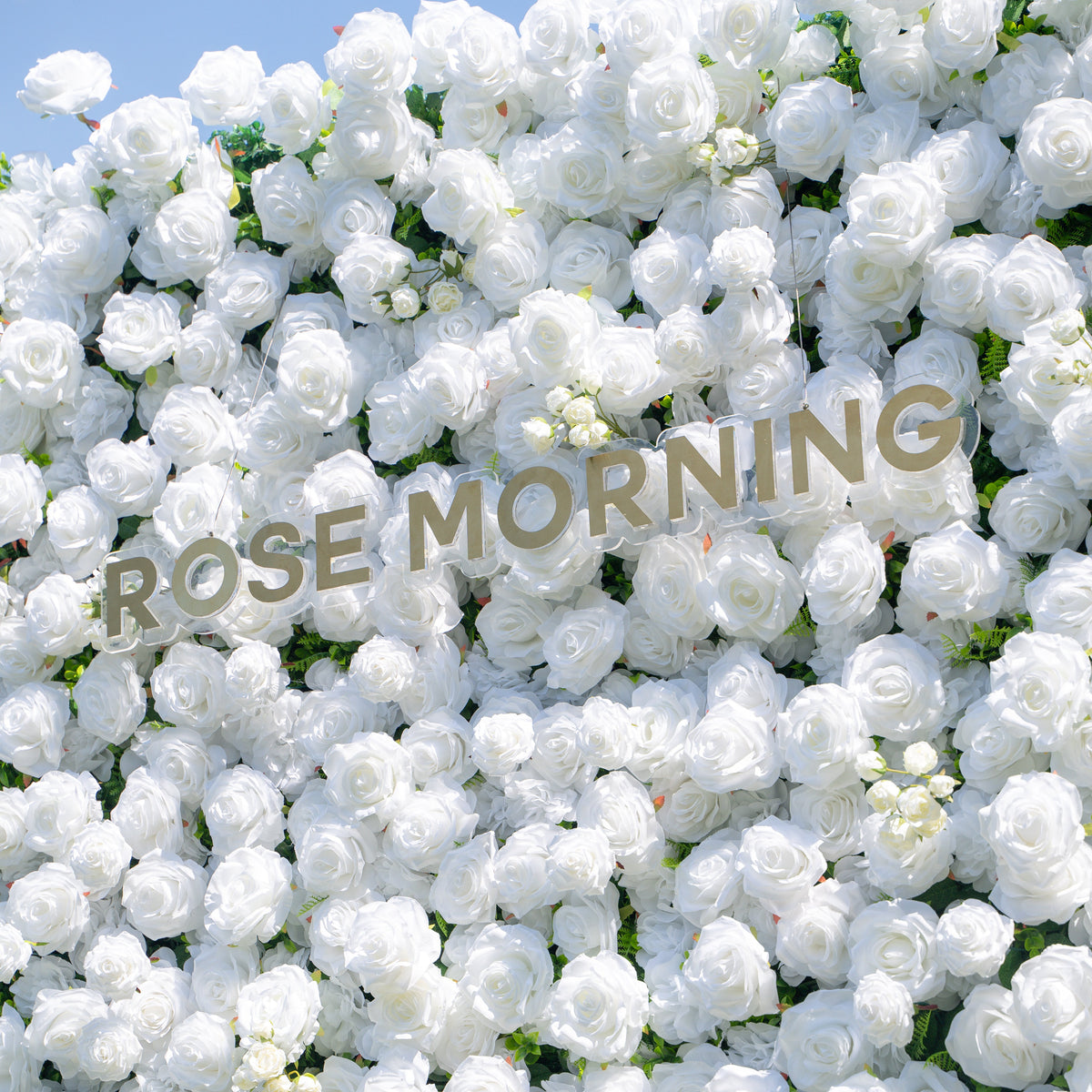 Shy 3D White Flower Wall - Minimalist Wedding Backdrop 8ft×8ft