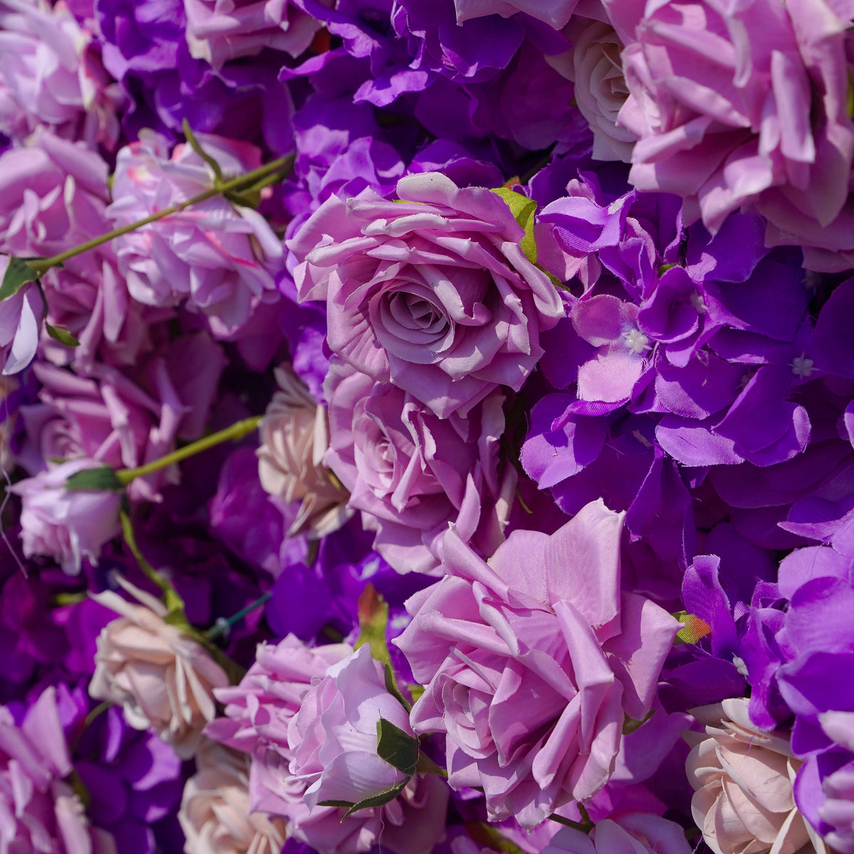 Sofia：5D Fabric Artificial rolling up curtain flower wall