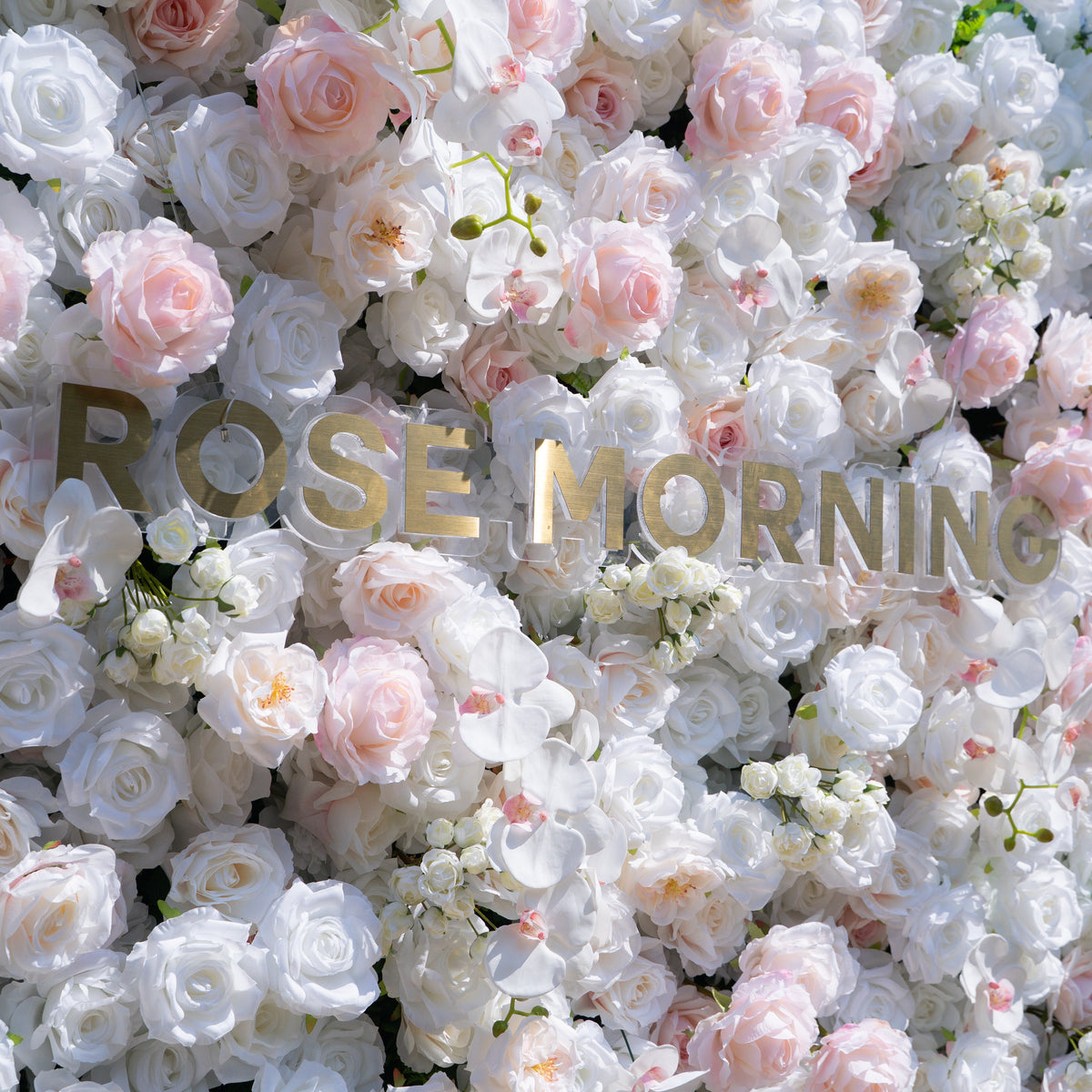 Tiara：5D Fabric Artificial rolling up curtain flower wall